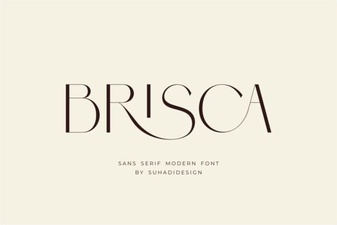 Discover Brisca Font: Design Versatility & Creative Inspiration